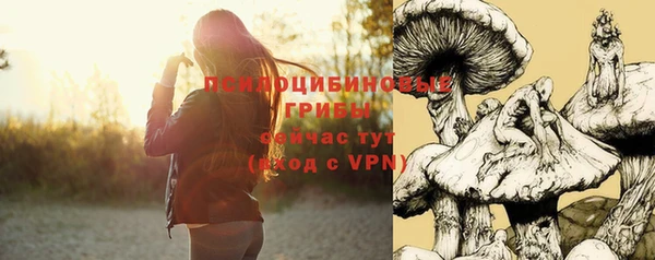 марки lsd Корсаков