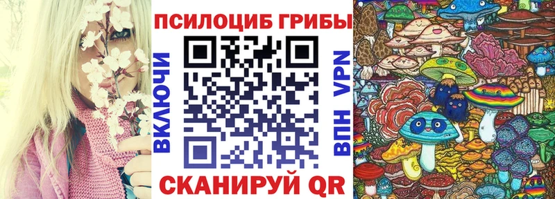 Псилоцибиновые грибы ЛСД  Купить  Мурино 